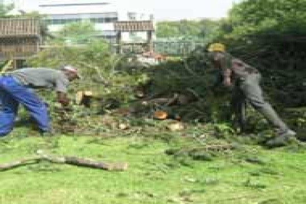 Makhulus Rubble Removals