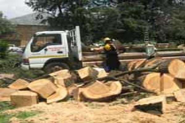 Makhulus Rubble Removals
