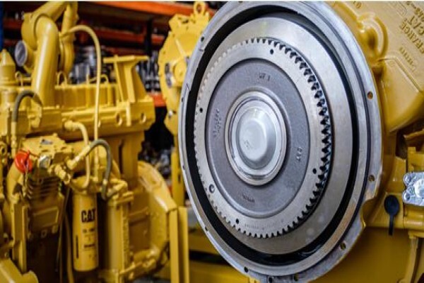 Blc Plant Company