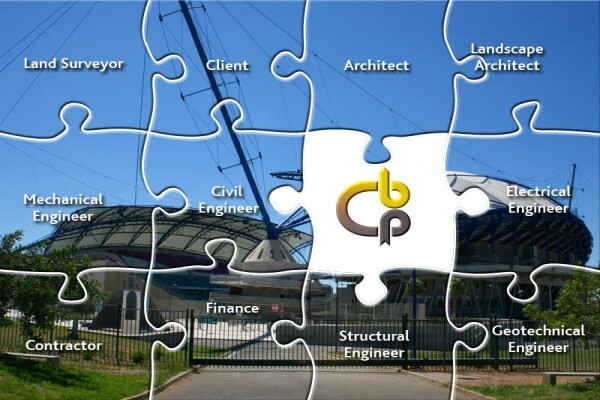 Bingelela Consulting Professionals