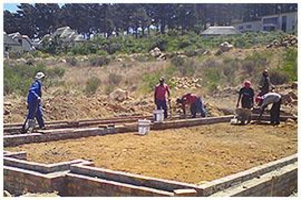 Payne & Sons 'The Renovators'
