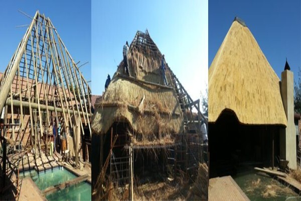 Top Thatch