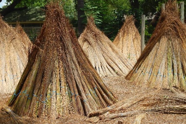 Top Thatch