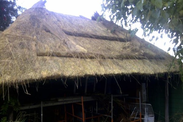 Top Thatch