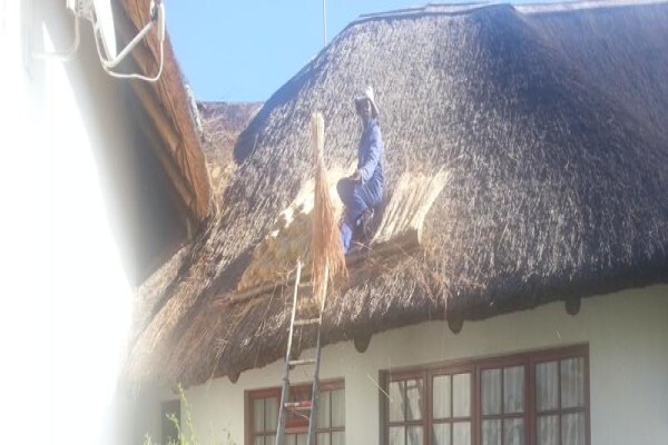 Top Thatch