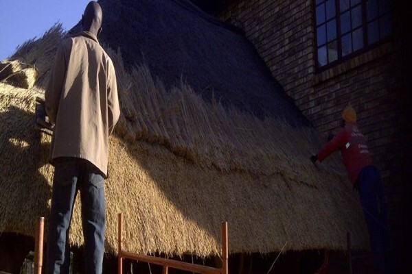 Top Thatch