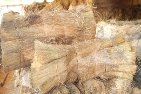 Top Thatch