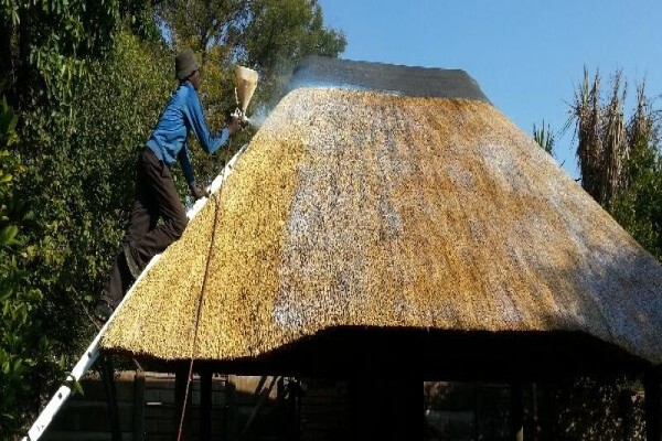 Top Thatch