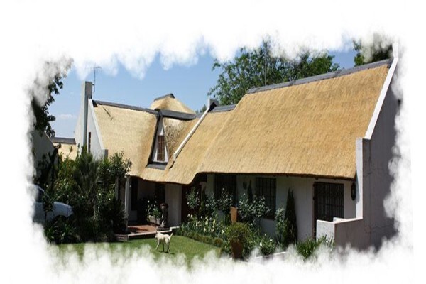 Top Thatch
