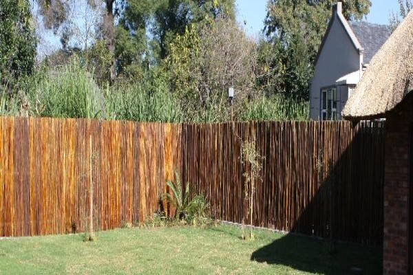 Top Thatch
