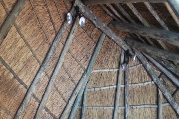 Top Thatch