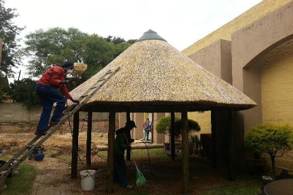 Top Thatch