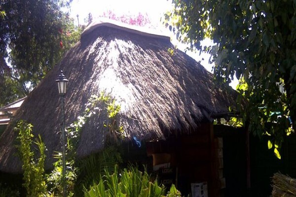 Top Thatch