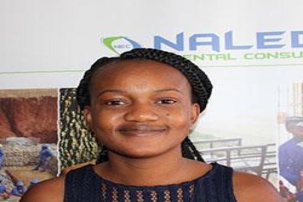 Naledzi Environmental Consultants