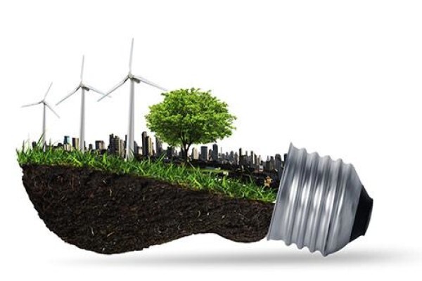 Naledzi Environmental Consultants