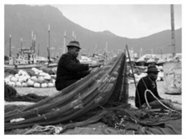 Cape Town Fish Market (Eastgate)