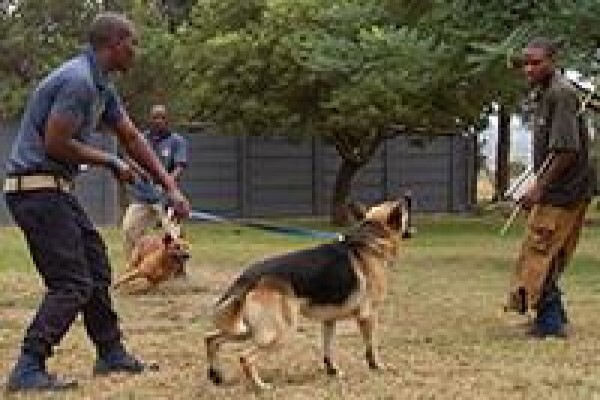 Kgori Security