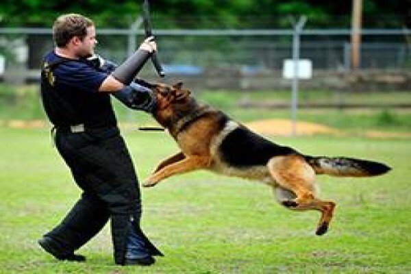 Kgori Security