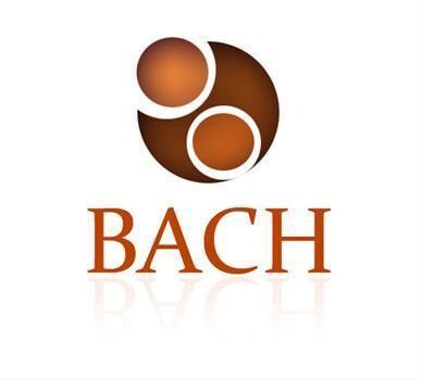 Bach Accountants And Management Consultants Cc