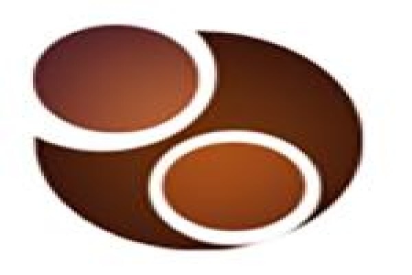 Bach Accountants And Management Consultants Cc