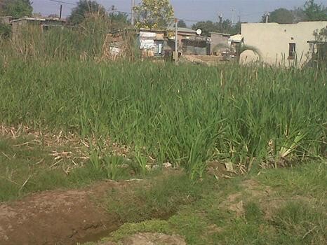 Ithabiseng Environmental Consultants Cc.