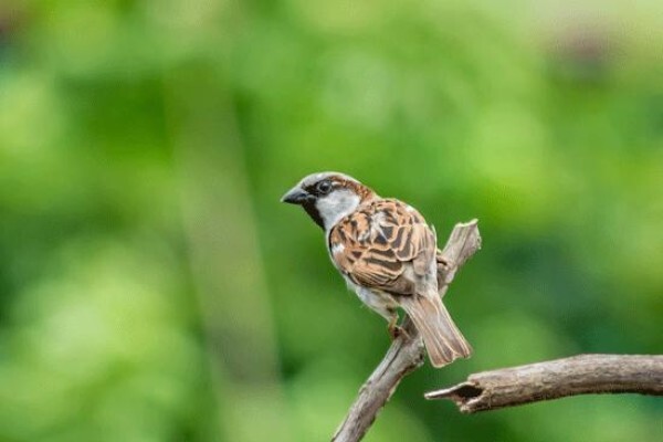 Ecoleges Environmental Consultants