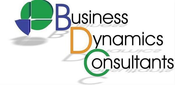 Business Dynamics Consultants
