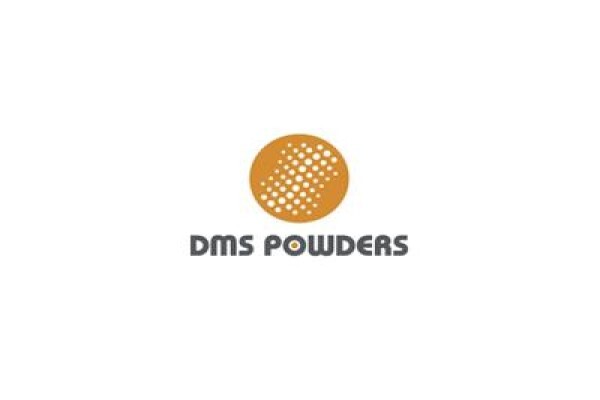 Business Dynamics Consultants