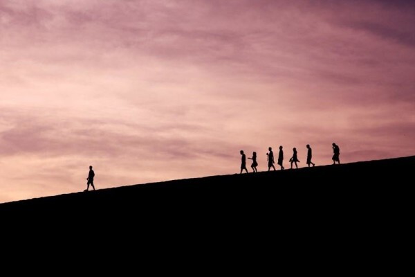 Business Dynamics Consultants