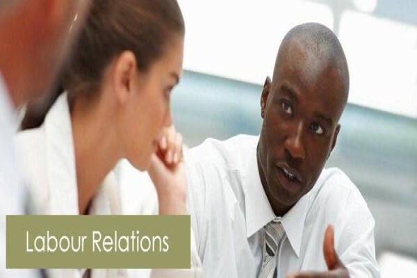 Dcs Consulting