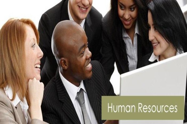 Dcs Consulting