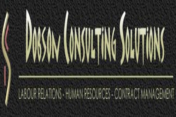 Dcs Consulting