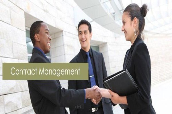 Dcs Consulting