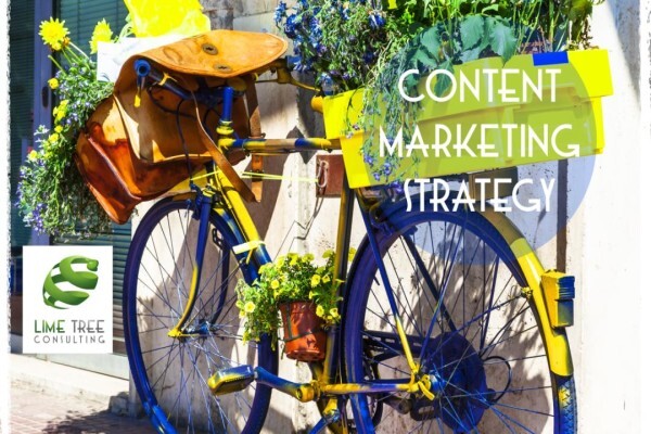 Lime Tree Consulting Solutions Cc