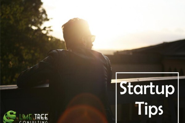 Lime Tree Consulting Solutions Cc