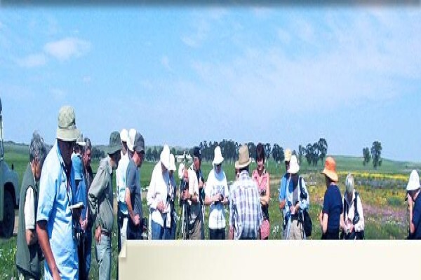 Bergwind Botanical Surveys & Tours Cc