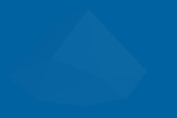 Femminit Consulting