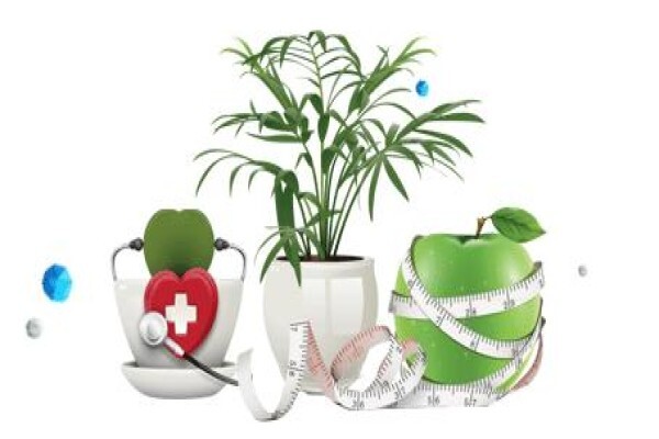 Femminit Consulting