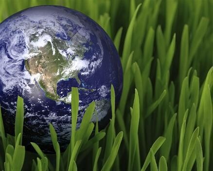 Greenergy Environmental Management Consultancy