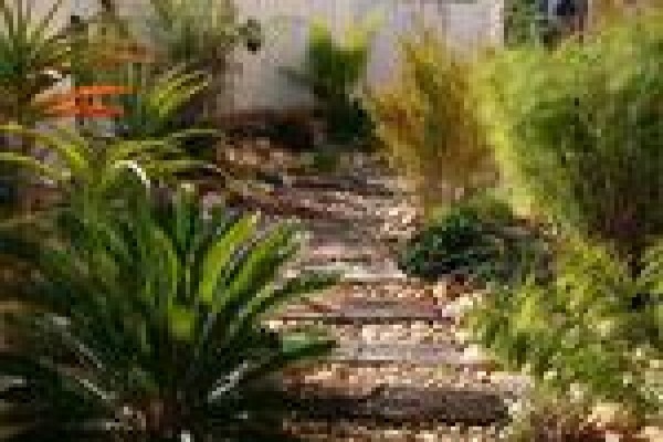 Blue Sands Consulting