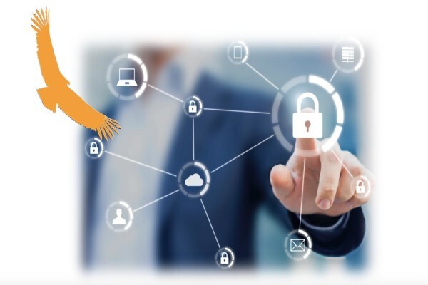 Reagola Consulting