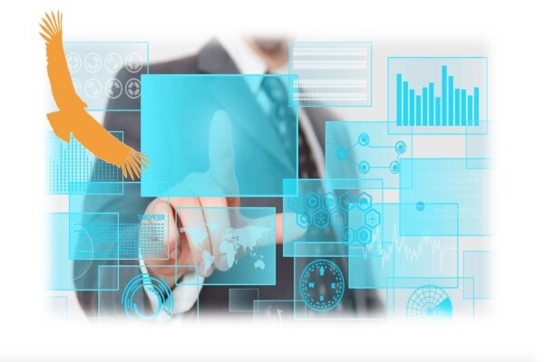 Reagola Consulting