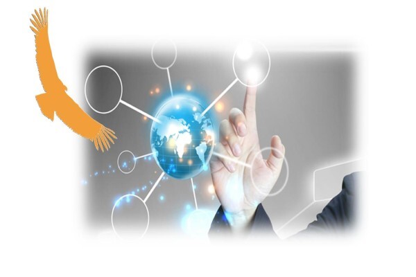 Reagola Consulting