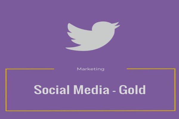 Bloomer Multi-Channel Marketing