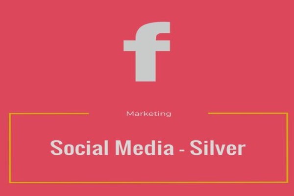 Bloomer Multi-Channel Marketing