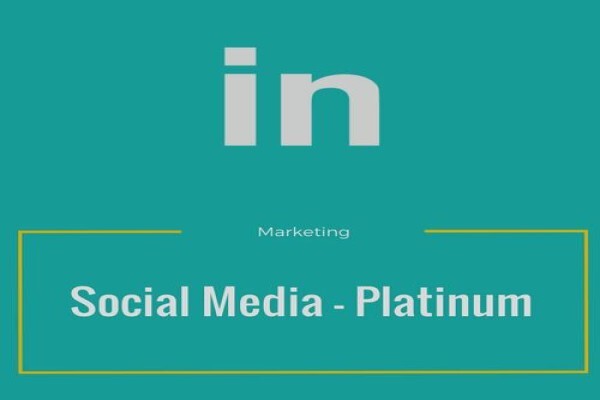 Bloomer Multi-Channel Marketing