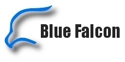 Blue Falcon Metering Services
