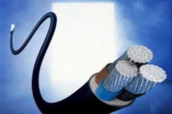 Transnational Technologies (Pty) Ltd