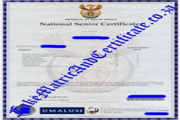 World Solutions Free Classifieds