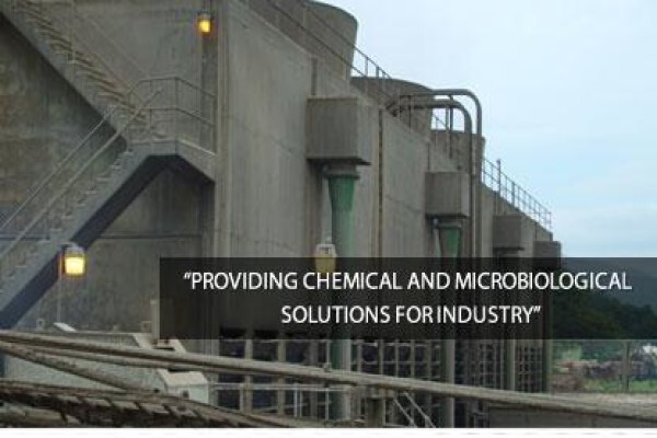 Sci-Tech Consulting Services